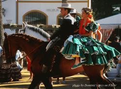 Feria_del_Caballo_-_Jerez_Horse_Fair.jpgのサムネイル画像