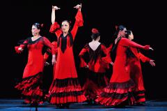 Las Azulindas＜鍛地陽子フラメンコ舞踊団＞（フラメンコ／群舞／バイレ／シギリージャ・イ・マルティネーテ）