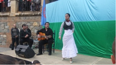 http://flamenco-sitio.com/sgk/image/anacali4.png