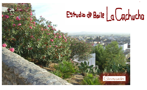 http://flamenco-sitio.com/sgk/image/estudio.png