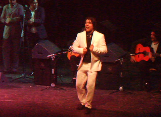 http://flamenco-sitio.com/sgk/image/moreno2.png