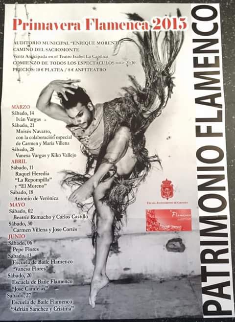 http://flamenco-sitio.com/sgk/image/patrimonioflamenco.jpg